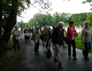 201305212.jpg