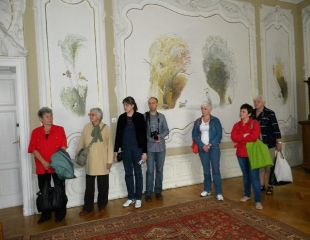 201305218.jpg