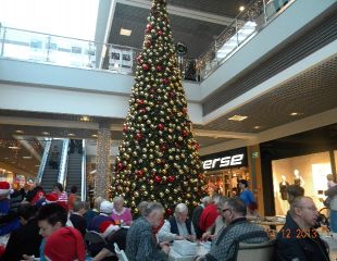 201312166.jpg