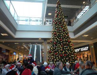 201312167.jpg