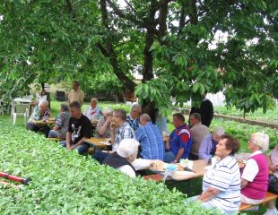 201506039a.jpg