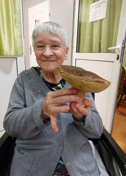 Obraz